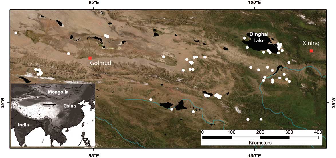 A conceptual model for the interpretation of aeolian sediments from a ...