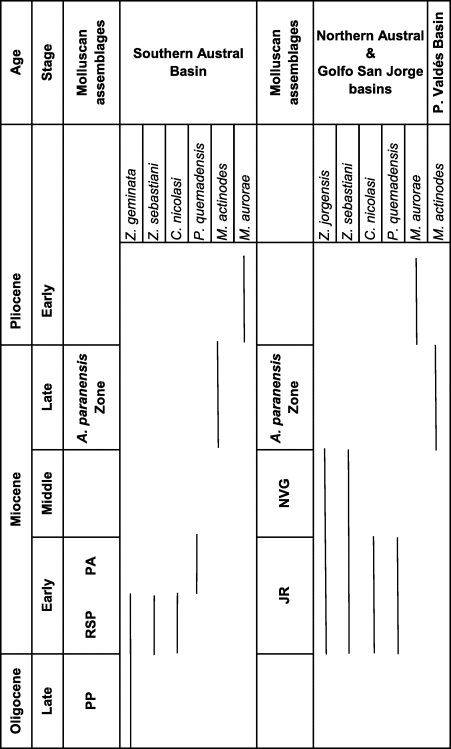 Neogene Pectinidae Bivalvia Of Tribe Chlamydini Teppner 1922 In Patagonia Argentina Zygochlamys Ihering 1907 And Three New Genera Journal Of Paleontology Cambridge Core