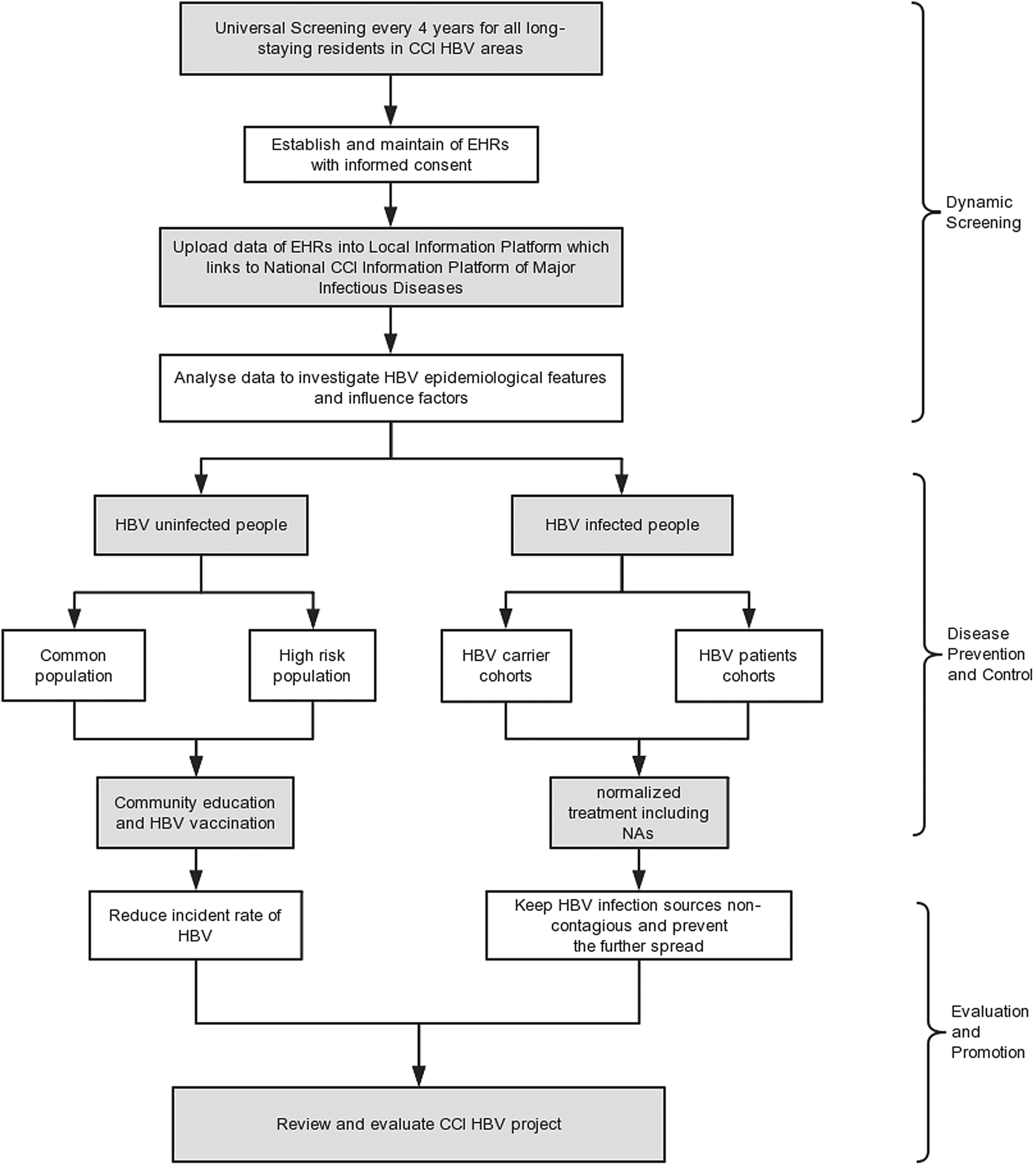 A System Dynamics Modelling Simulation Based On A Cohort Of Hepatitis B ...