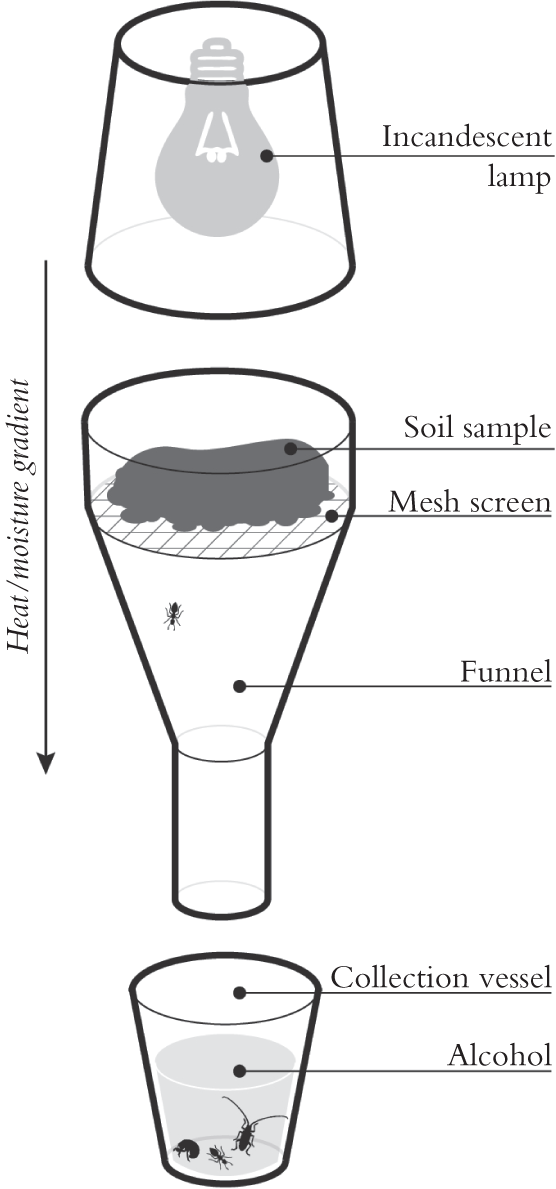 approaches to studying soil fauna and