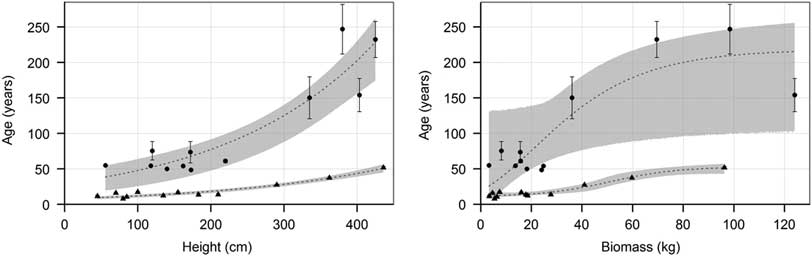 Radiocarbon dating simulering