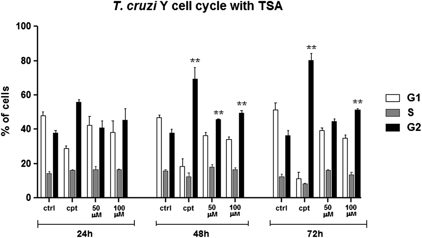 Trichostatin A Induces Trypanosoma Cruzi Histone And Tubulin Acetylation Effects On Cell Division And Microtubule Cytoskeleton Remodelling Parasitology Cambridge Core