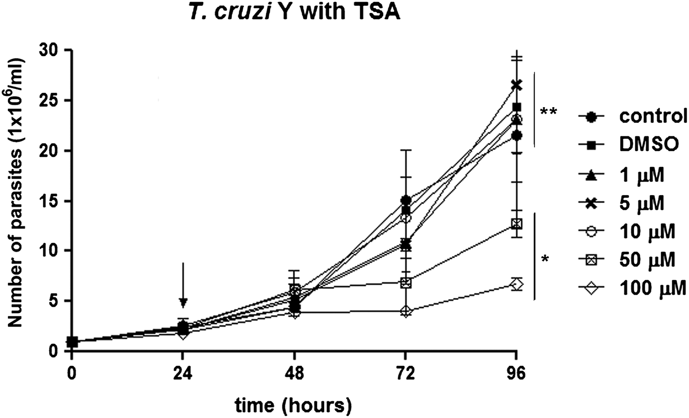 Trichostatin A Induces Trypanosoma Cruzi Histone And Tubulin Acetylation Effects On Cell Division And Microtubule Cytoskeleton Remodelling Parasitology Cambridge Core