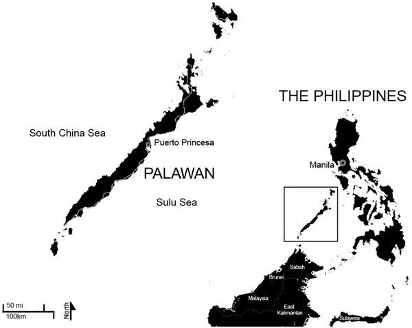 Unravelling The Strings Attached Philippine Indigeneity In - 