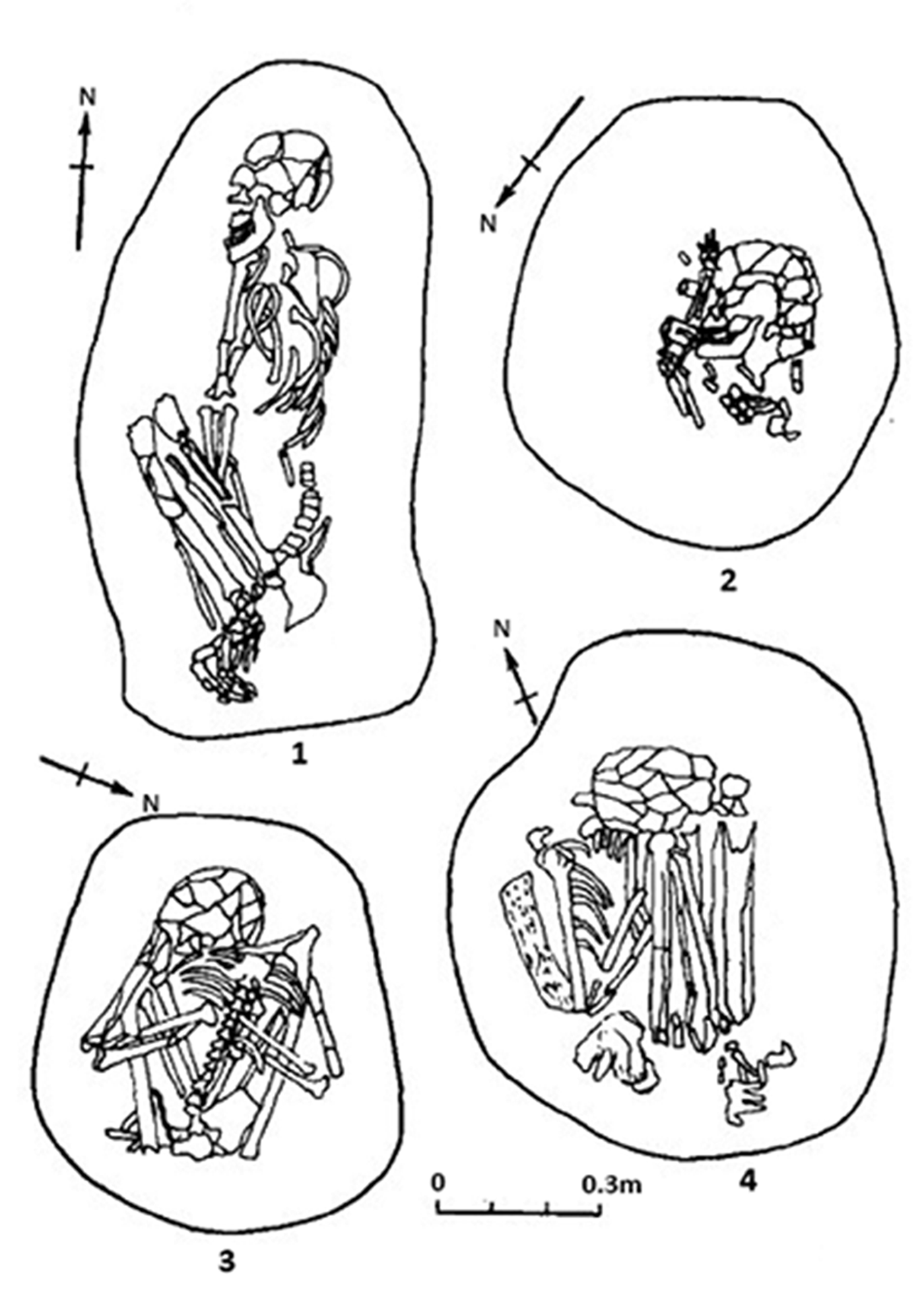 Prosperity And Complexity Without Farming The South China Coast C 5000 3000 Antiquity Cambridge Core