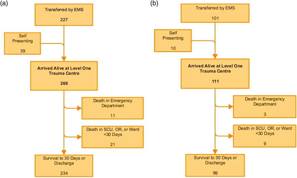 A Traumatic Tale Of Two Cities: A Comparison Of Outcomes For Adults ...