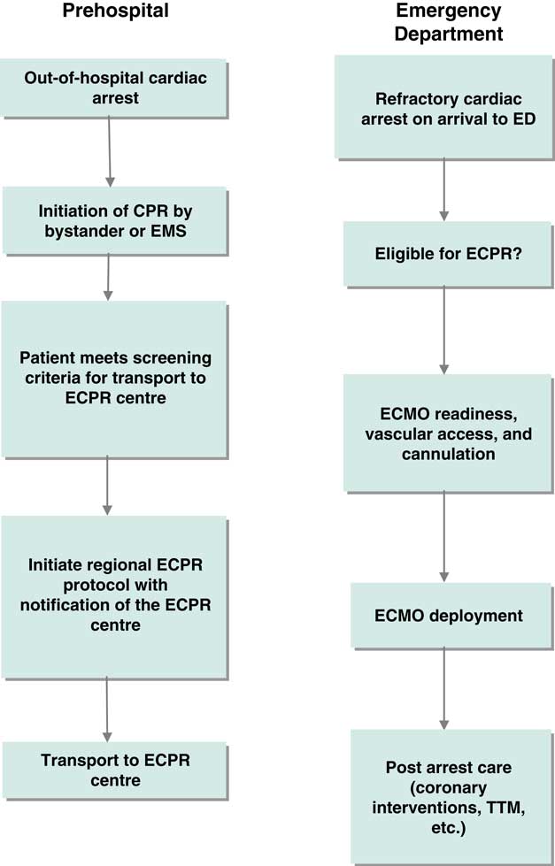 Barriers And Opportunities Related To Extracorporeal Cardiopulmonary ...