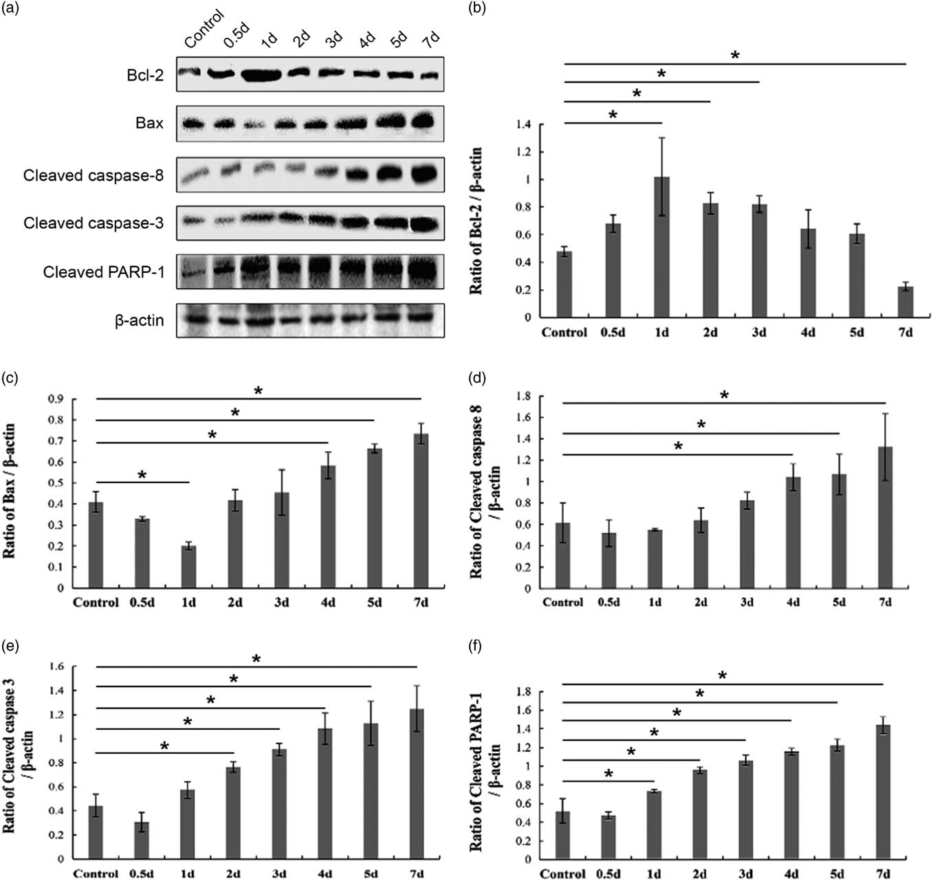 Temperature sensitivity of DNA double-strand break repair underpins  heat-induced meiotic failure in mouse spermatogenesis