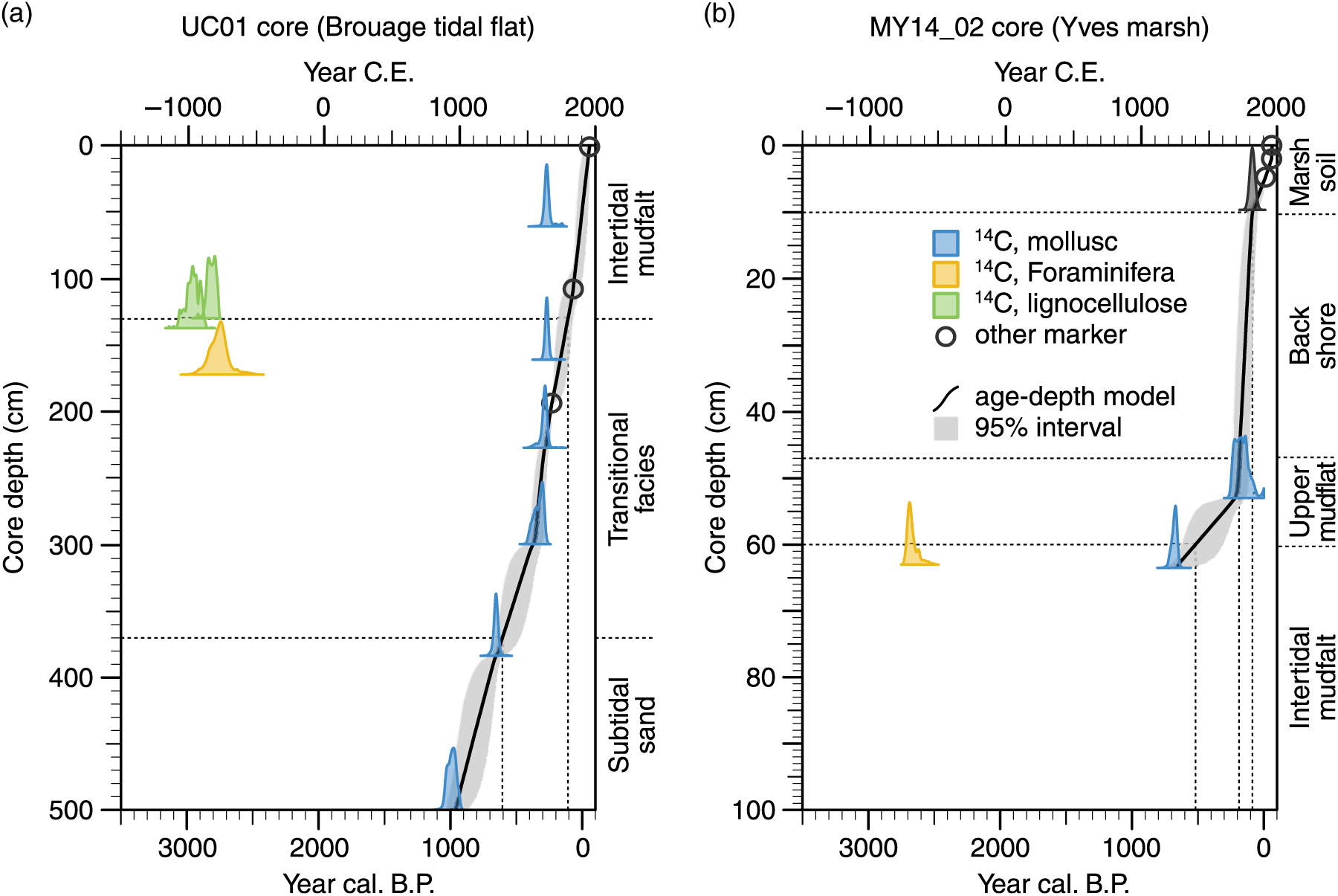 Hypothetical Influence Of Bacterial Communities On The Transfer Of 14c Depleted Carbon To Infaunal Foraminifera Implications For Radiocarbon Dating In Coastal Environments Radiocarbon Cambridge Core