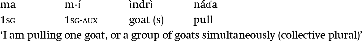 Linguistic Features And Typologies In Languages Commonly Referred To As Nilo Saharan Chapter 11 The Cambridge Handbook Of African Linguistics