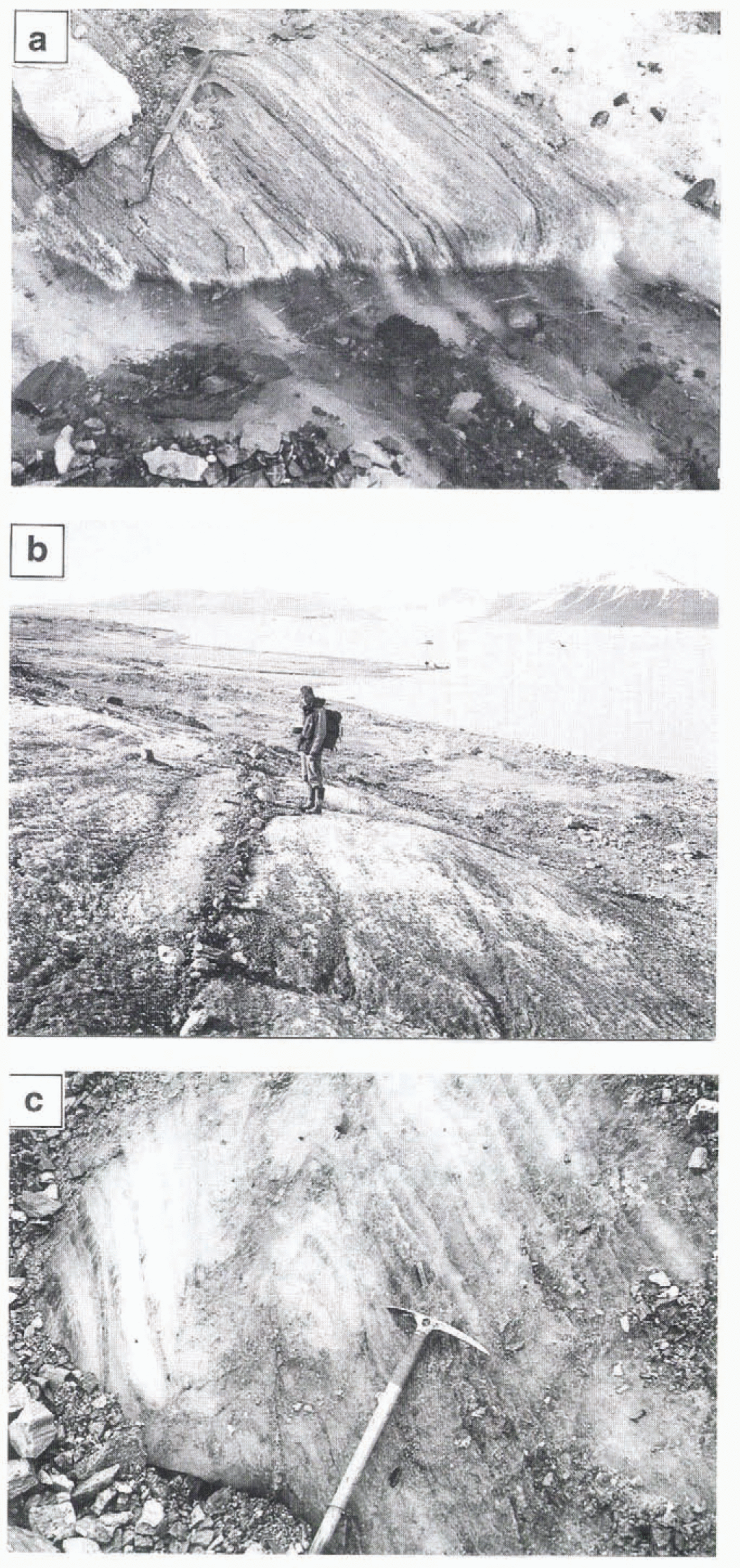 Debris entrainment and transfer in polythermal valley glaciers | Journal of  Glaciology | Cambridge Core