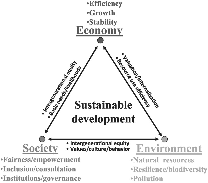 Framework and Fundamental (Part I) - Sustainability in the Twenty