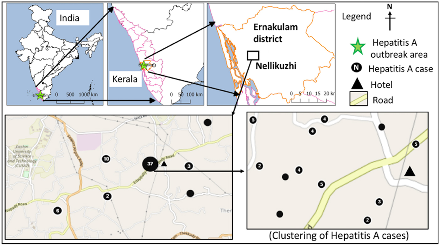 Suspected Spread Of Hepatitis A Virus From A Restaurant Among Adults In ...