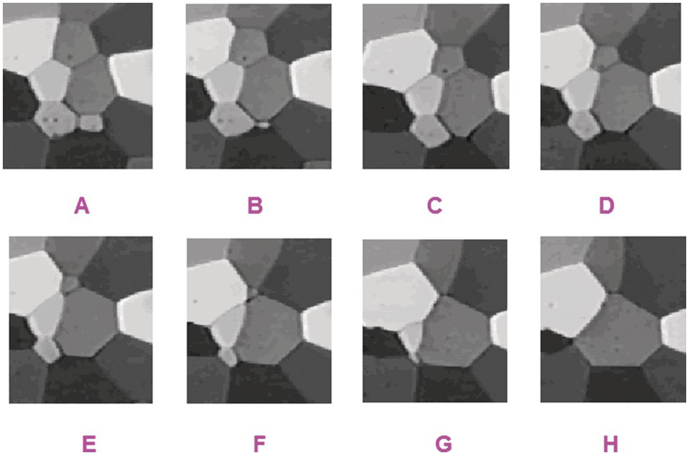 Microstructures of Metamorphic Rocks (Chapter 4) - A Practical