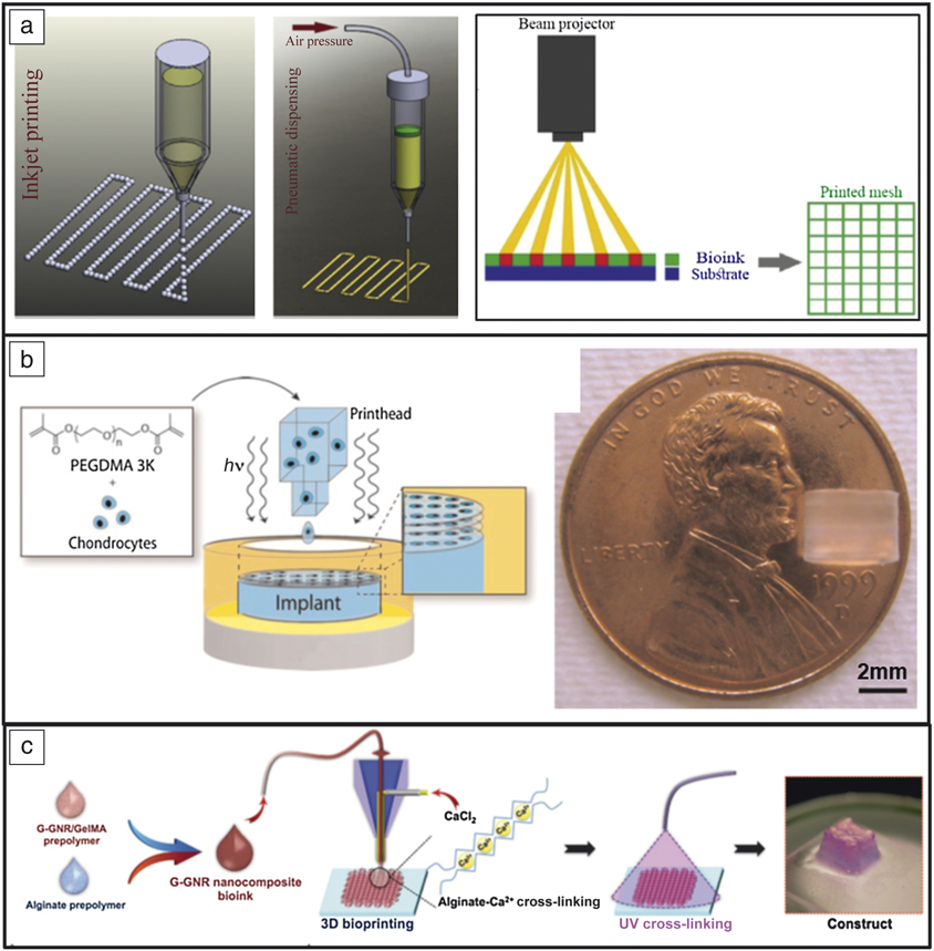 Clinical Significance Of Three-dimensional Printed Biomaterials And ...