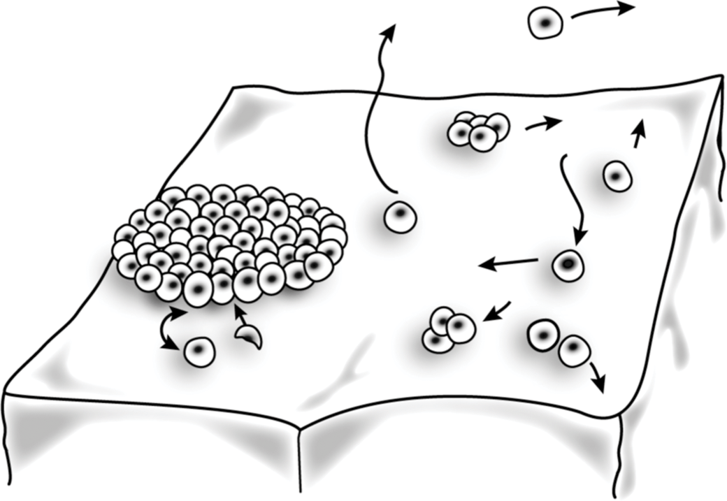 Crystals And Crystal Growth Chapter 2 Handbook Of Industrial Crystallization