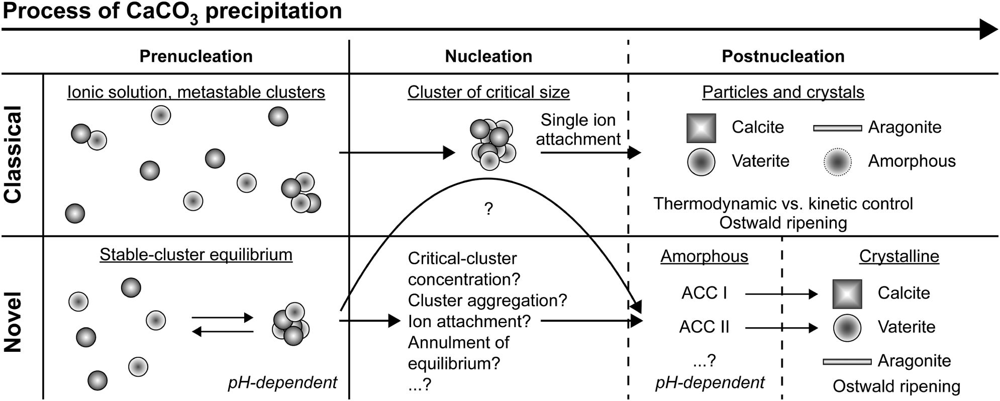 Crystal Nucleation Chapter 3 Handbook Of Industrial Crystallization