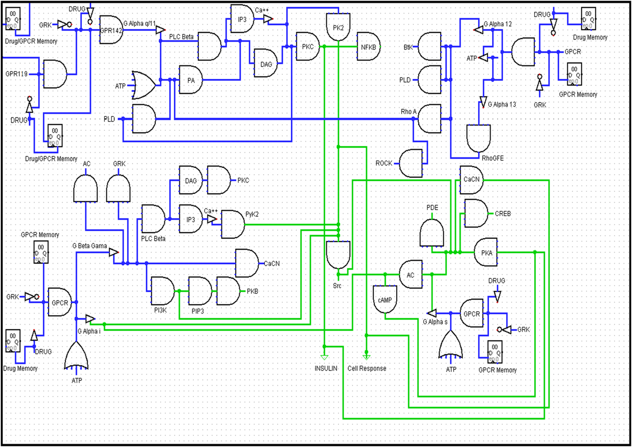 Gproteincoupled receptors function as logic gates for nanoparticle