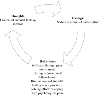 Cognitive Behavioural Therapy Suicide Prevention (CBT-SP) imagery ...