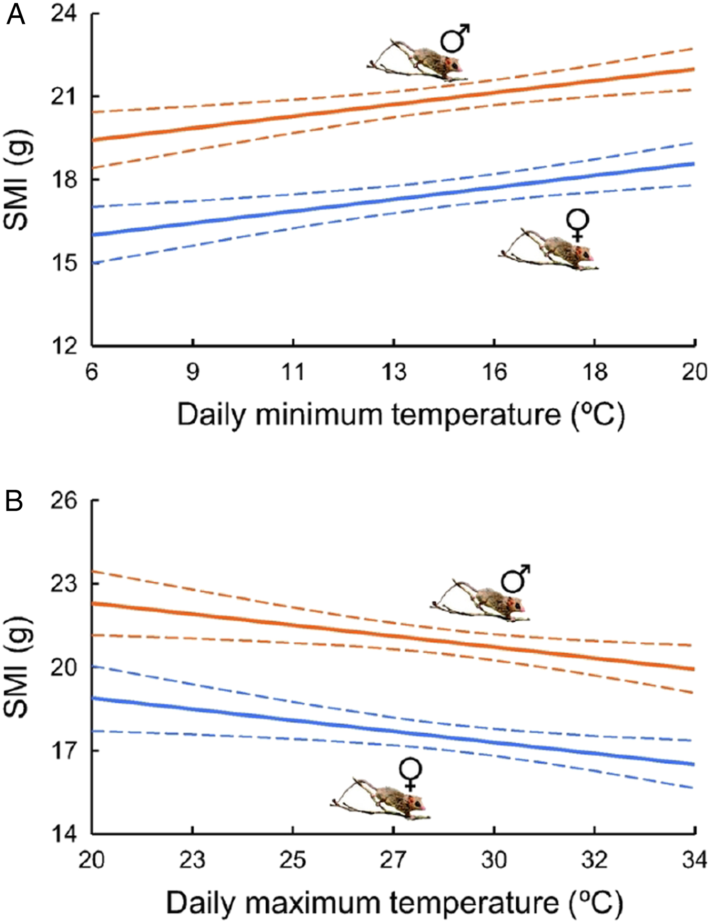 The Impact Of Botfly Parasitism On The Health Of The Gracile Mouse Opossum Gracilinanus Agilis Parasitology Cambridge Core