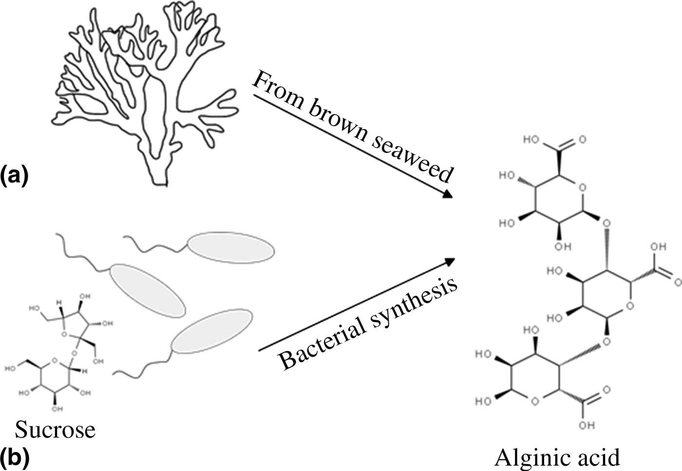 Synthetic Biology For The Development Of Bio-based Binders For Greener ...