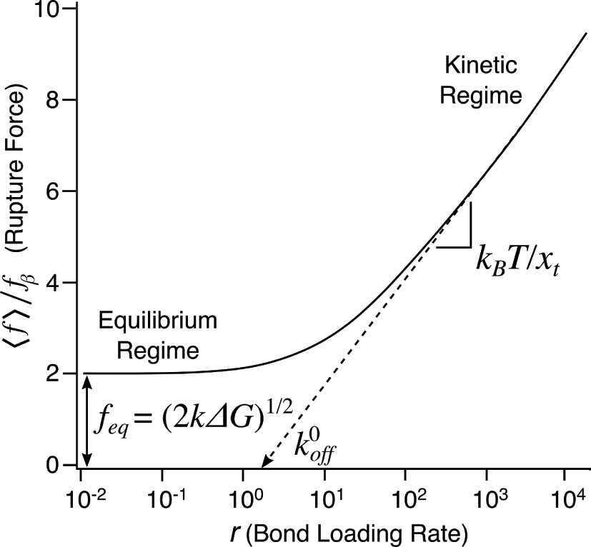 Imaging Techniques (Part III) - Analytical Geomicrobiology