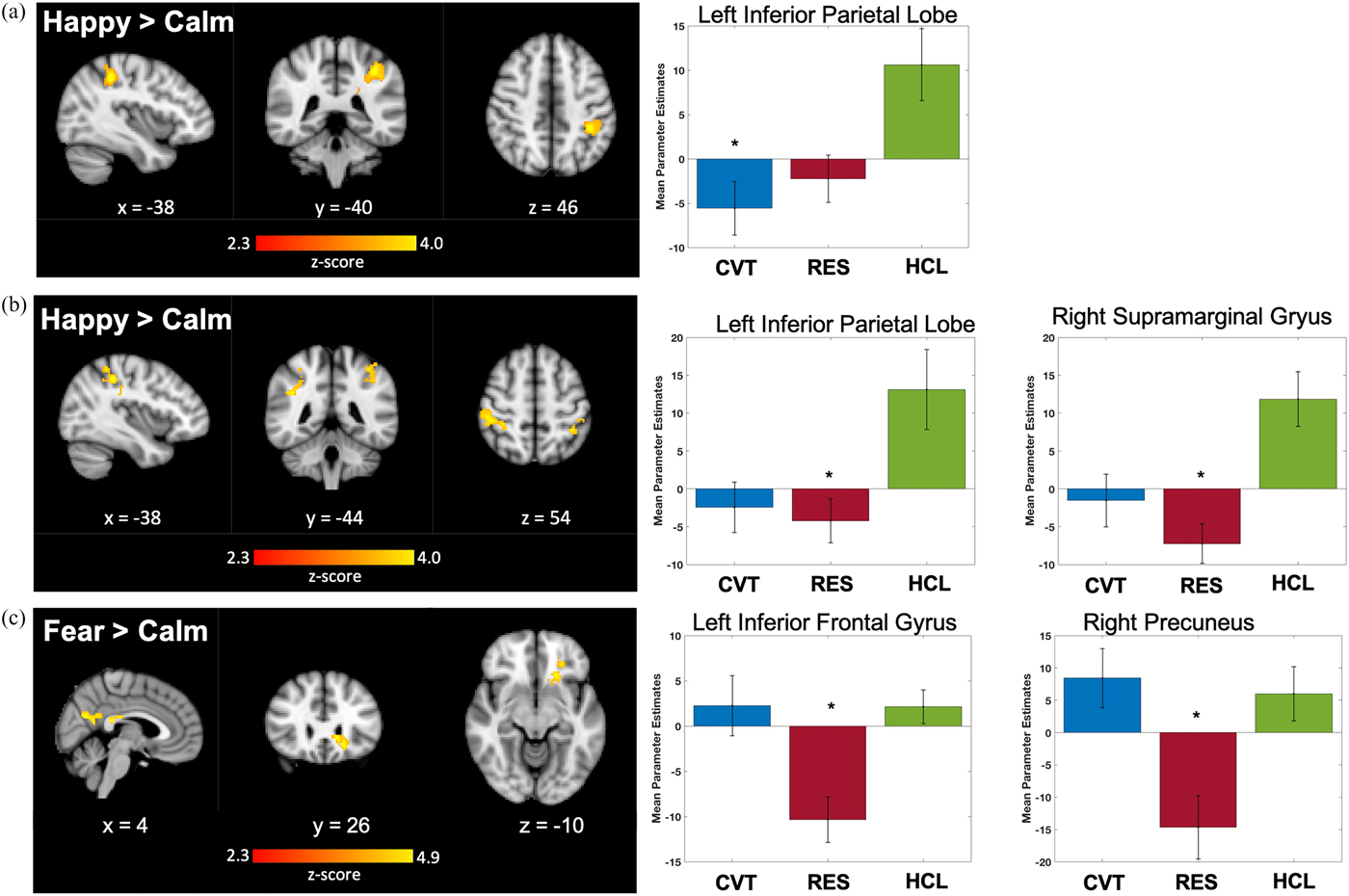 Neural correlates of emotion processing predict resilience in youth at ...