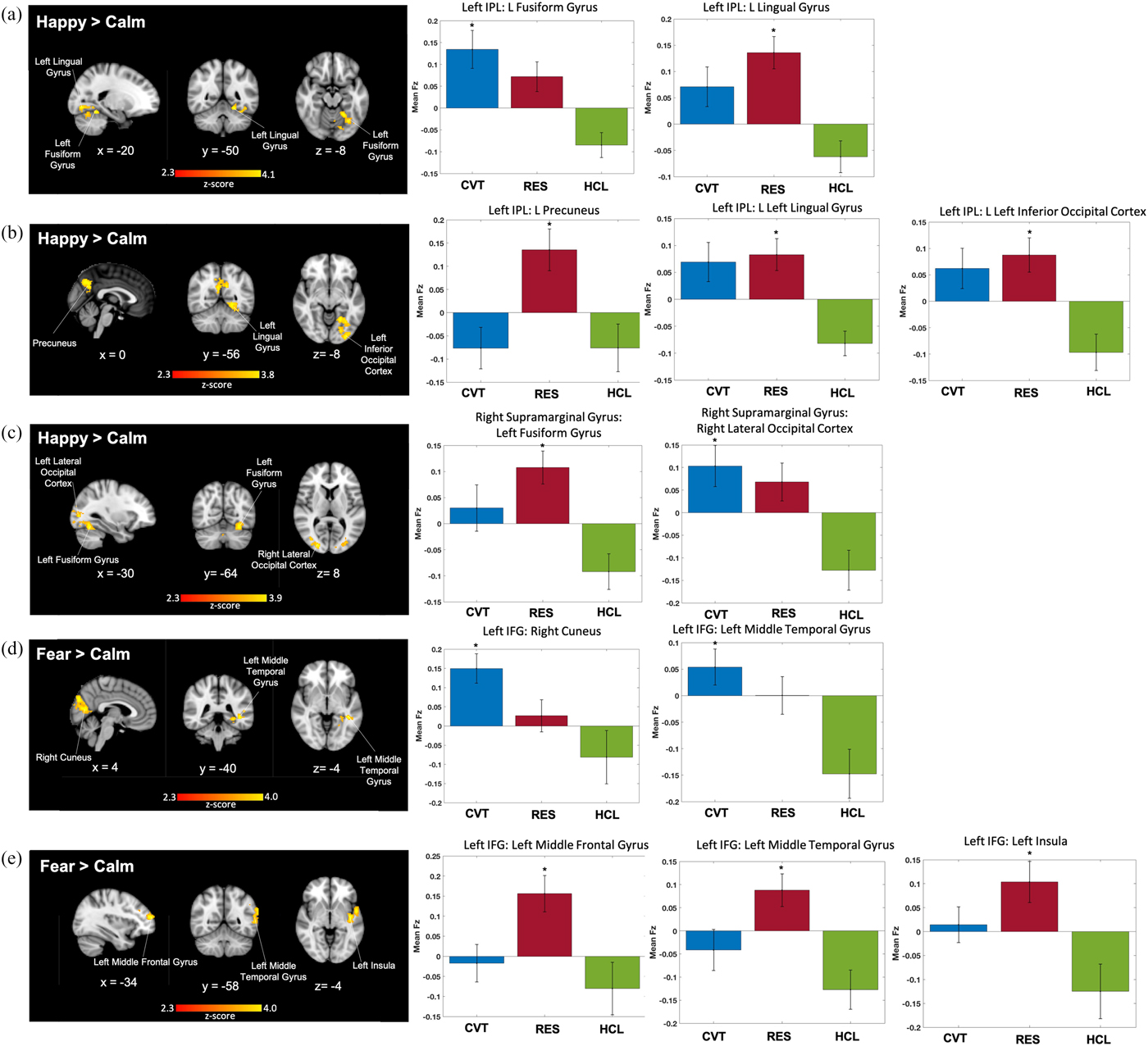 Neural correlates of emotion processing predict resilience in youth at ...