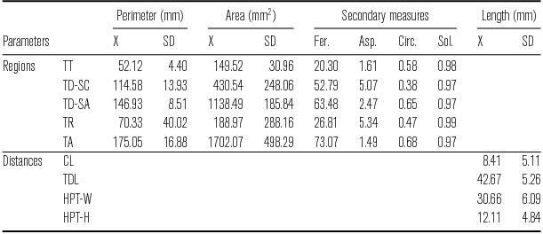 Parameters Of Tongue Shape Of N And L In Basque Journal Of The International Phonetic Association Cambridge Core