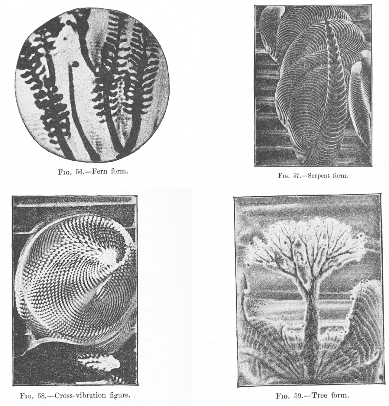 Voices (Part I) - Nineteenth-Century Opera and the Scientific