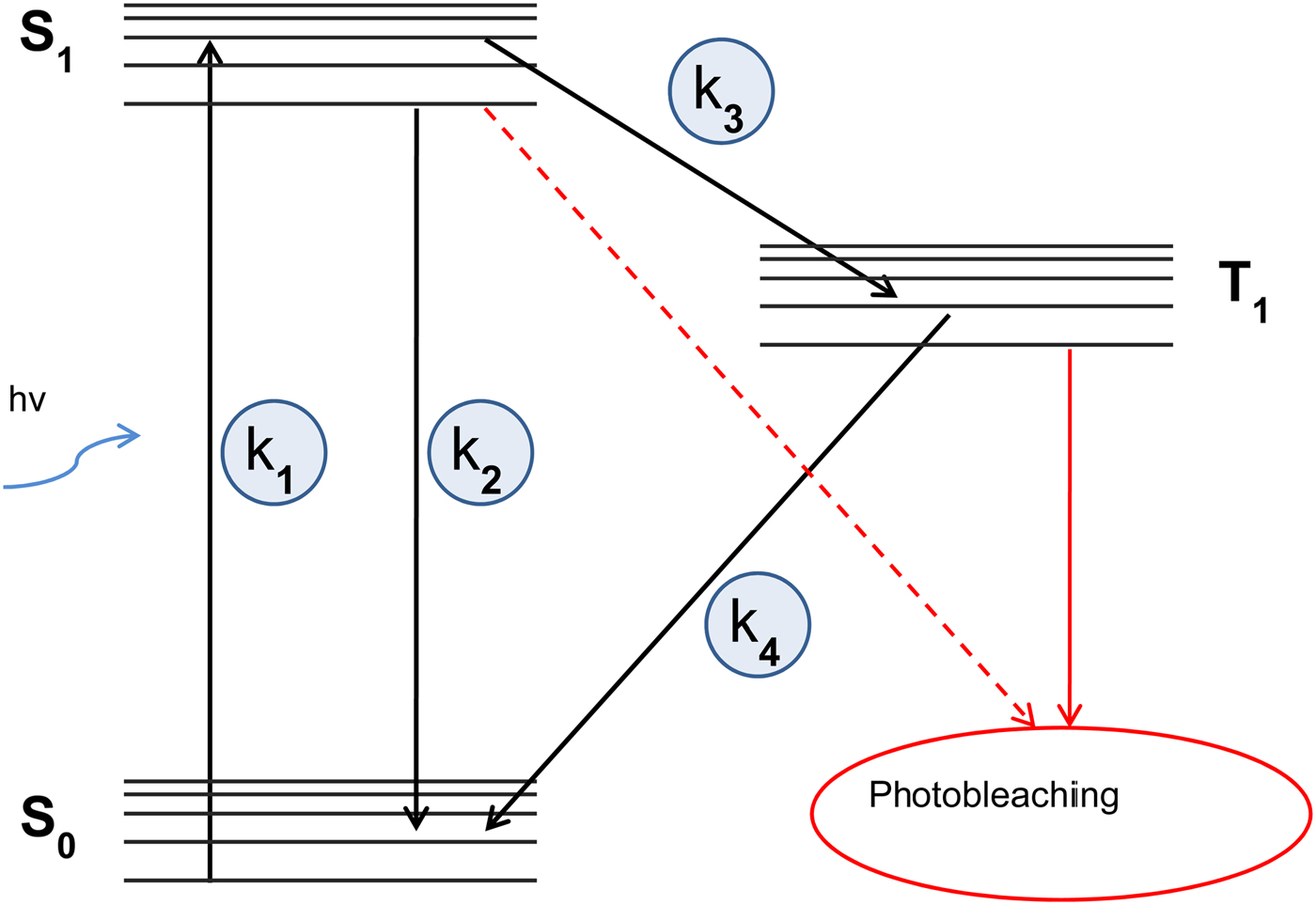 Fluorescence Recovery After Photobleaching In Material And Life Sciences Putting Theory Into Practice Quarterly Reviews Of Biophysics Cambridge Core