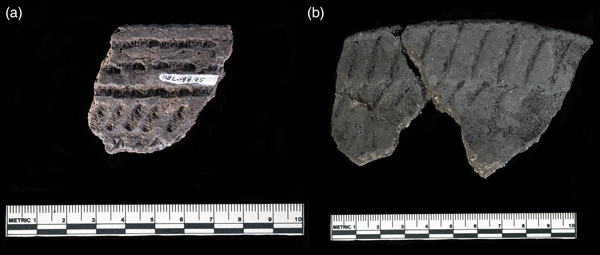 Reconsidering The Chronology Carbonized Food Residue - 