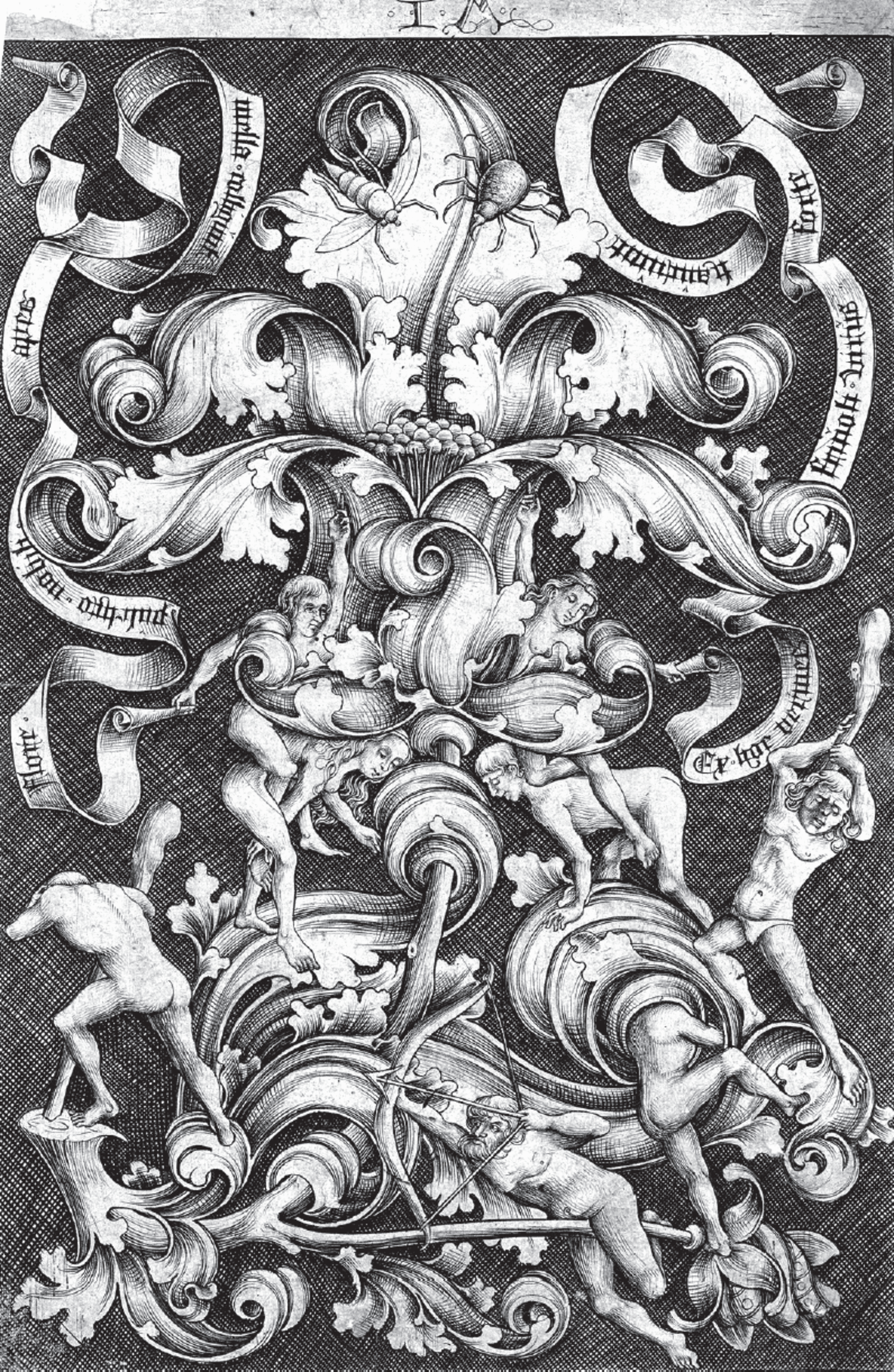 albrecht dürer engraving heraldry 2