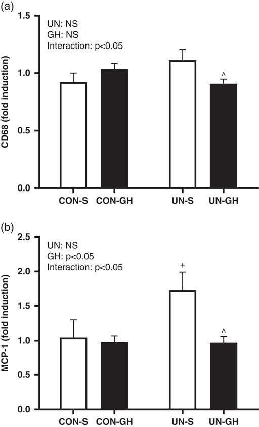 Maternal Undernutrition Results In Altered Renal Pro Inflammatory Gene Expression Concomitant With Hypertension In Adult Male Offspring That Is Ameliorated Following Pre Weaning Growth Hormone Treatment Journal Of Developmental Origins Of Health And