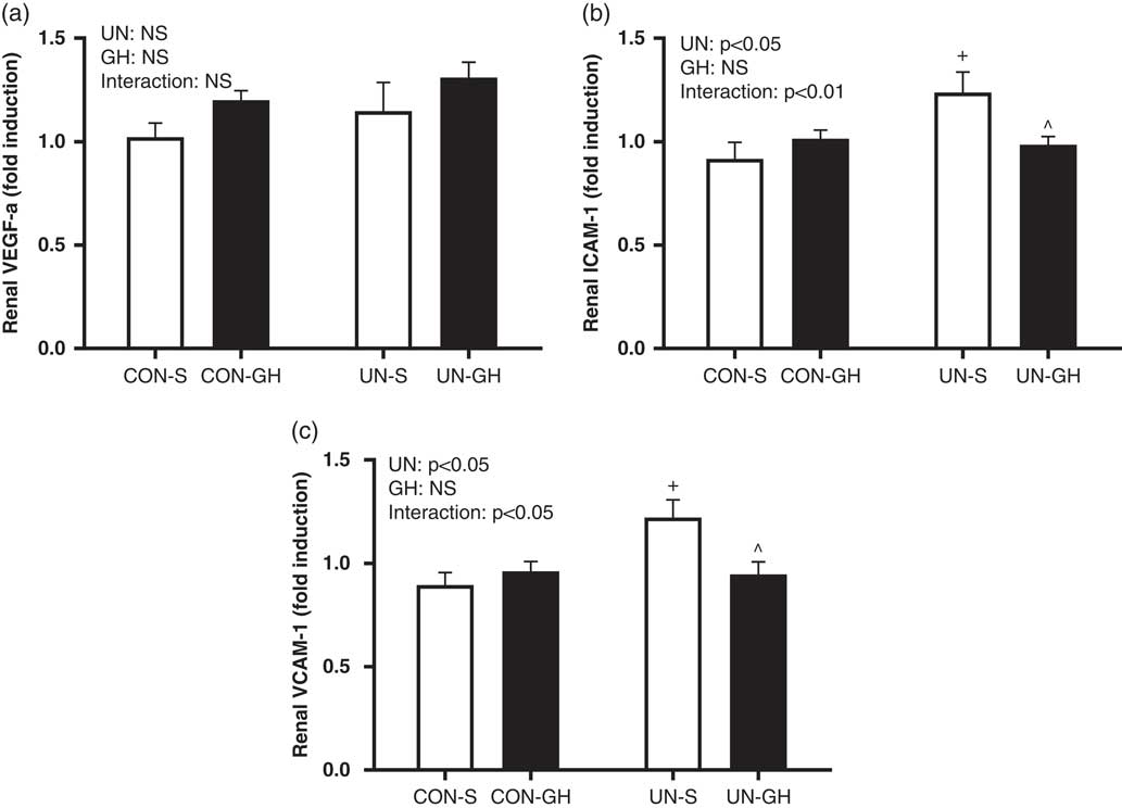 Maternal Undernutrition Results In Altered Renal Pro Inflammatory Gene Expression Concomitant With Hypertension In Adult Male Offspring That Is Ameliorated Following Pre Weaning Growth Hormone Treatment Journal Of Developmental Origins Of Health And