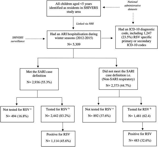 Respiratory syncytial virus hospitalisations among young children: a ...