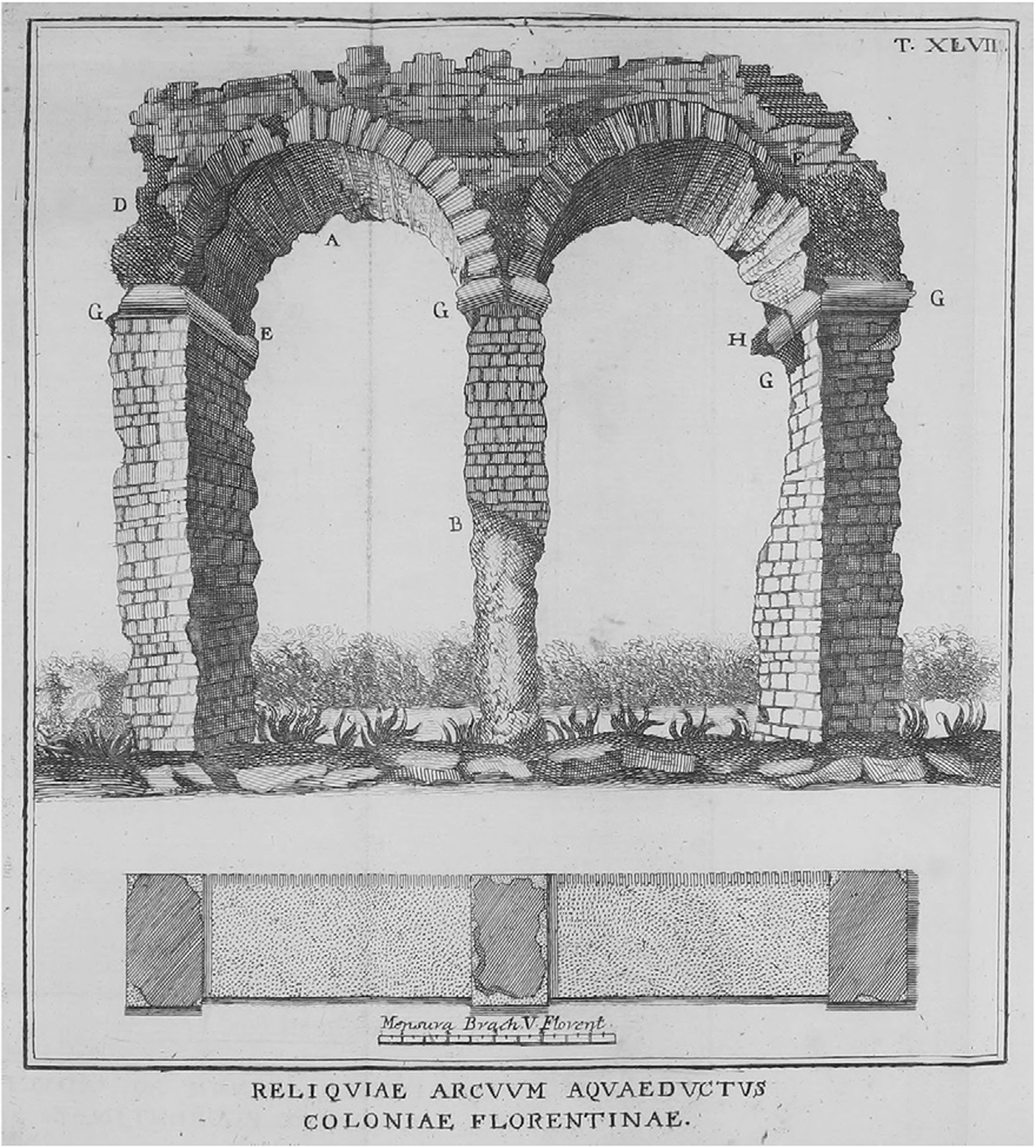 Mythic Origins, Mythic Archaeology: Etruscan Antiquities in  Sixteenth-Century Narratives of the Foundation of Florence | Renaissance  Quarterly | Cambridge Core