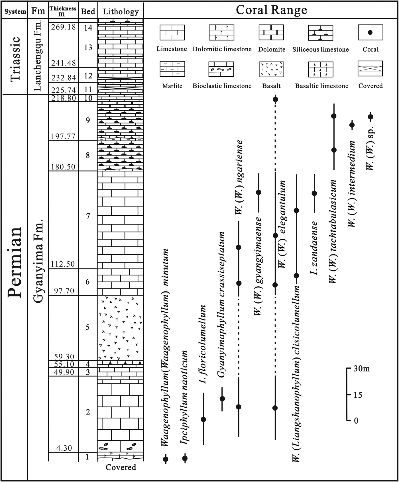 Late Permian rugose corals from Gyanyima of Drhada, Tibet (Xizang 