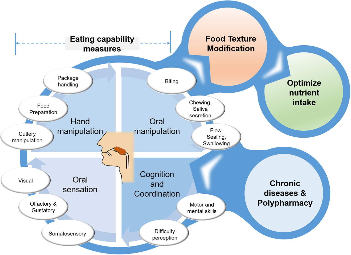 Oral processing in elderly: understanding eating capability to drive ...