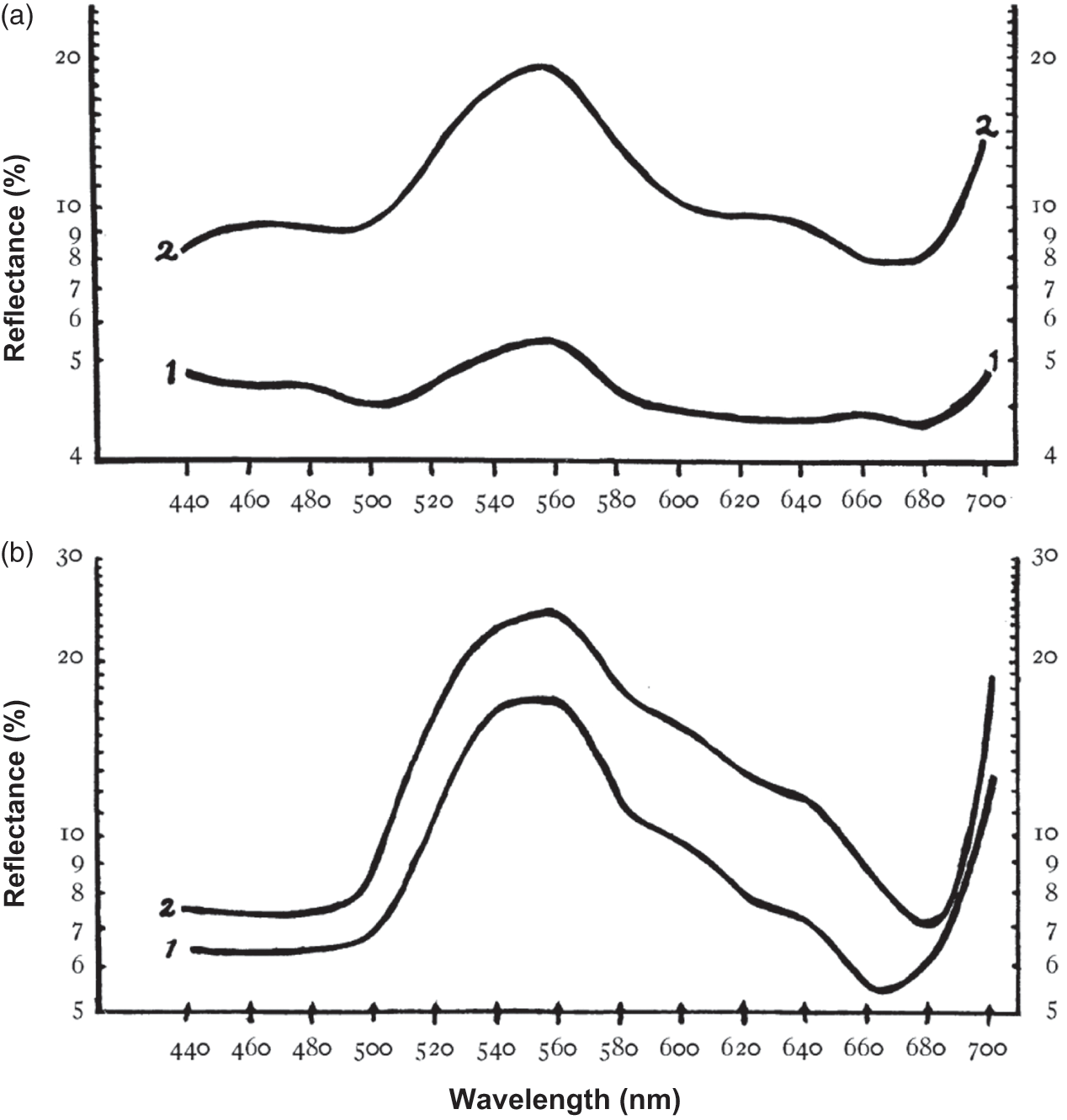 A Brief History Of Leaf Color Chapter 1 Leaf Optical Properties