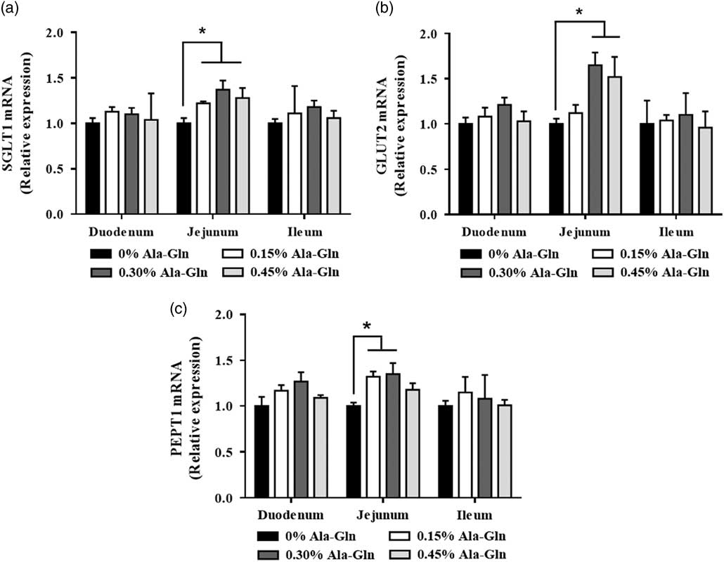 L-Alanyl-L-glutamine - Ala-Gln, Alanyl-glutamine