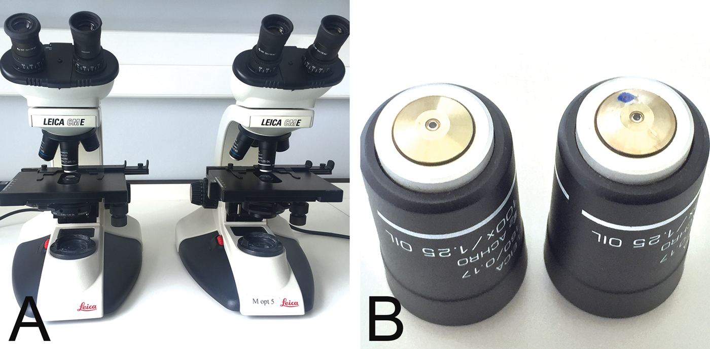 A Simple Method to Test Microscope Objectives Using a Laser Pointer