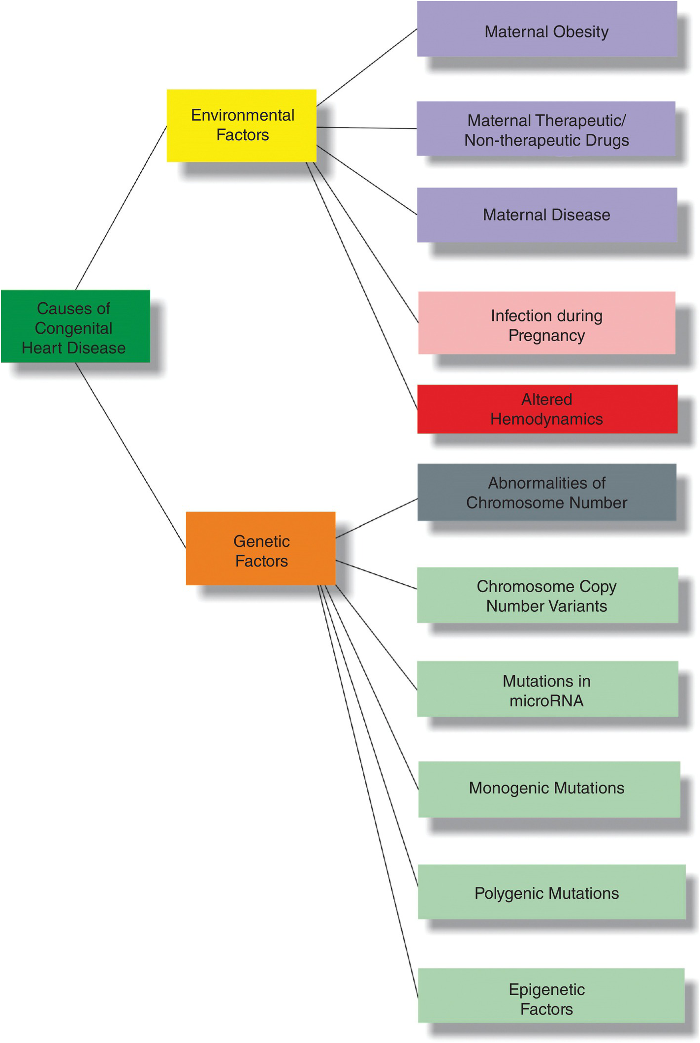 Structural Heart Disease In The Fetus Fetal Therapy