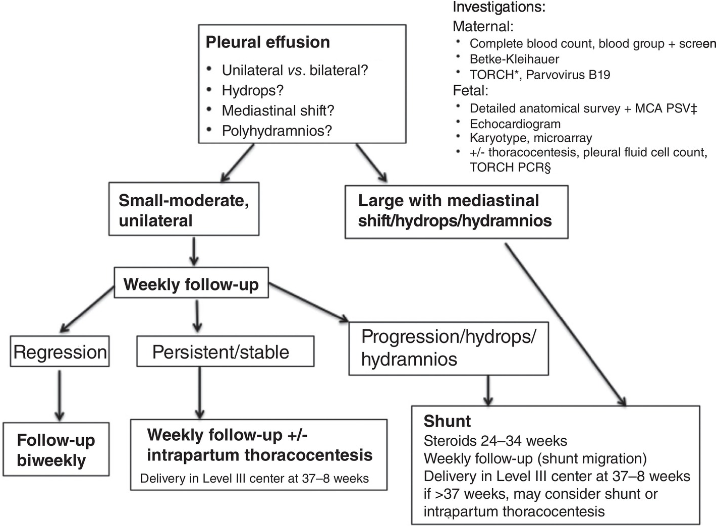 Pleural Effusion And Pulmonary Pathology Fetal Therapy