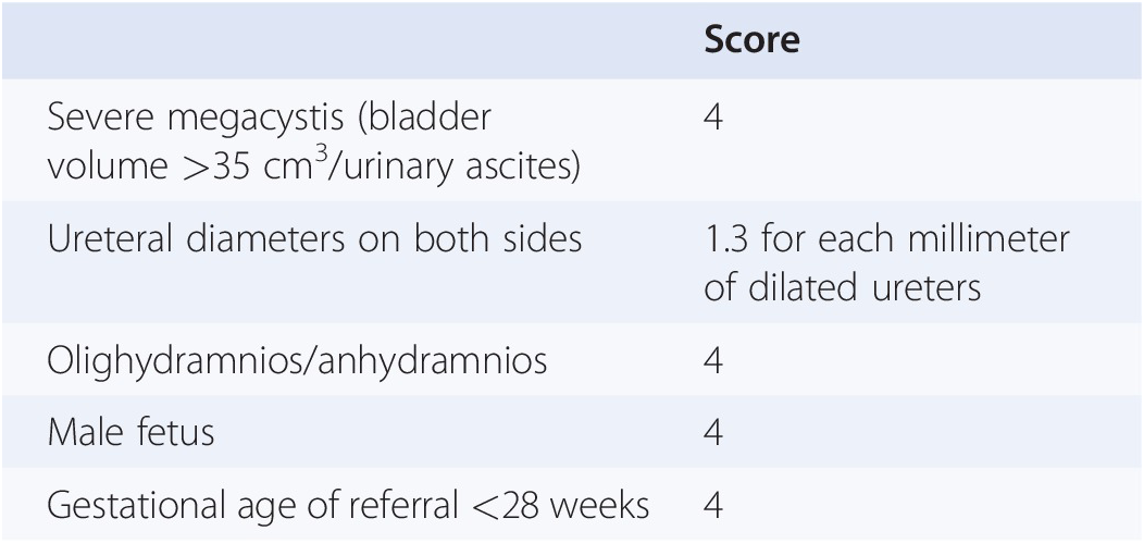 Fetal Urinary Tract Obstruction Fetal Therapy