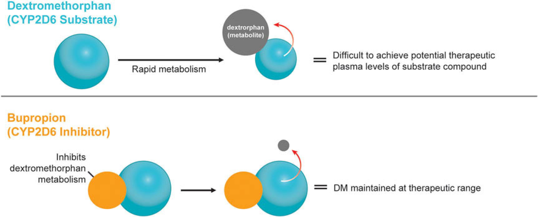 Dextromethorphanbupropion A Novel Oral Nmda N Methyl D Aspartate