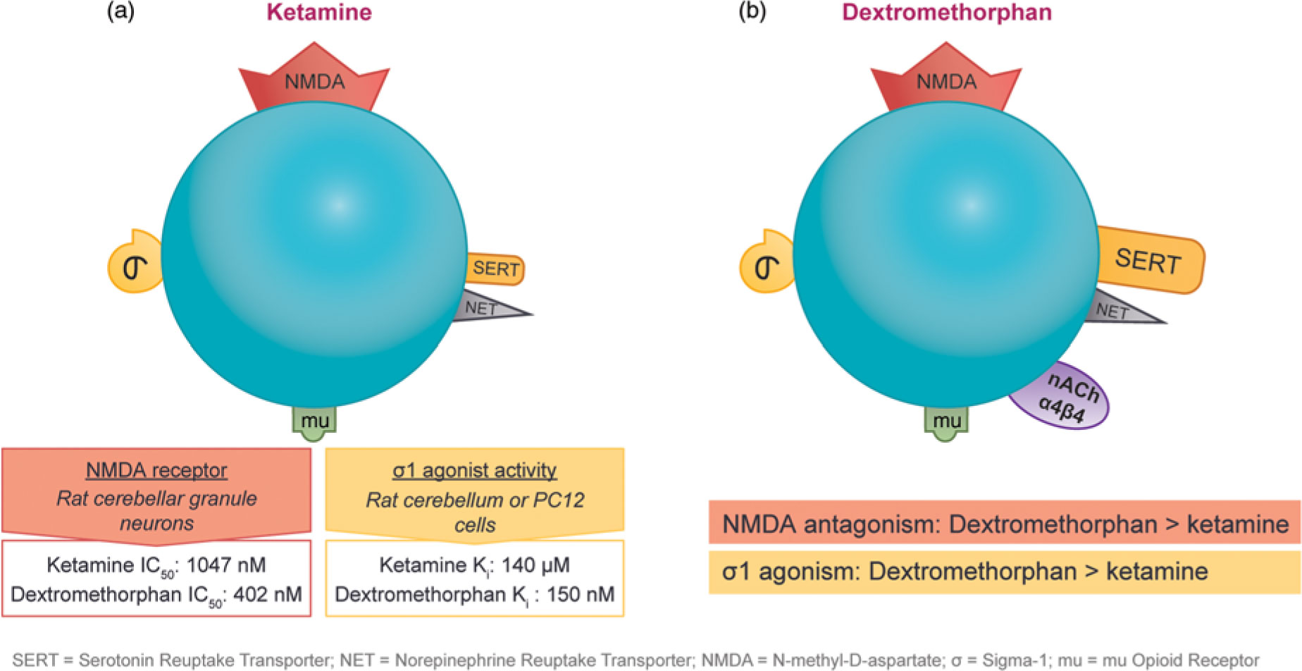 Planen Heute Wunsch Bupropion Mechanism Of Action Ornament Sag Beiseite   Urn Cambridge.org Id Binary 20190928053113541 0005 S1092852919001470 S1092852919001470 Fig4g 