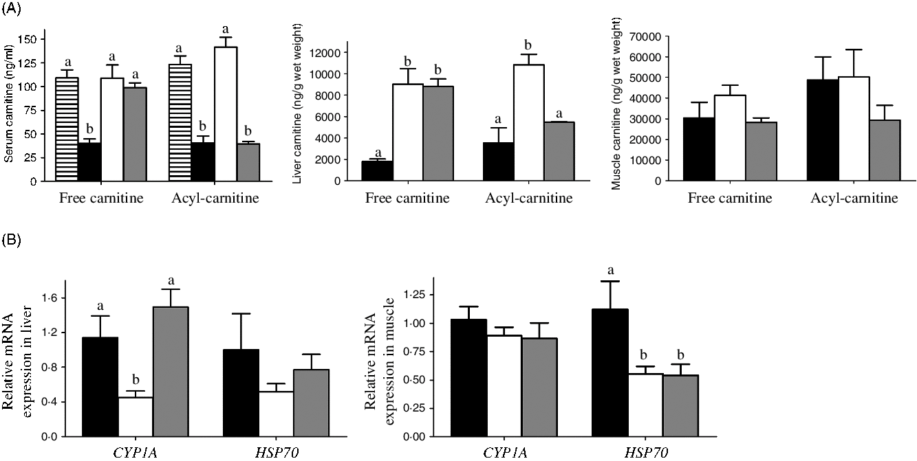 Functional Differences Between L And D Carnitine In Metabolic Regulation Evaluated Using A Low Carnitine Nile Tilapia Model British Journal Of Nutrition Cambridge Core