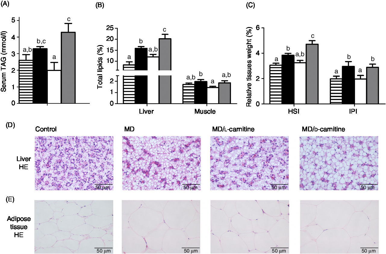 Functional Differences Between L And D Carnitine In Metabolic Regulation Evaluated Using A Low Carnitine Nile Tilapia Model British Journal Of Nutrition Cambridge Core