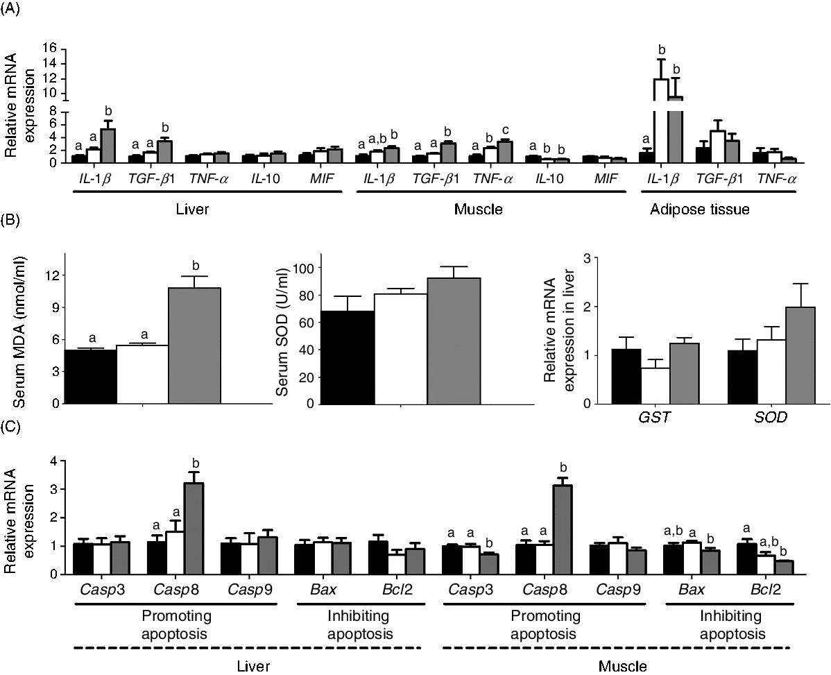 Functional Differences Between L And D Carnitine In Metabolic Regulation Evaluated Using A Low Carnitine Nile Tilapia Model British Journal Of Nutrition Cambridge Core